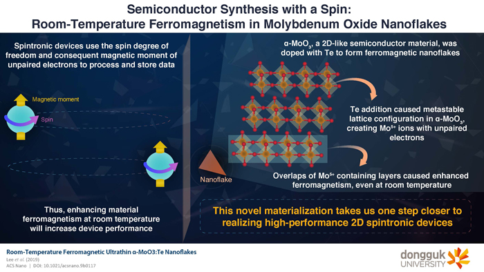Stepping Up Spintronics with Room-temperature Magnetism in Molybdenum Oxide Nanoflakes 