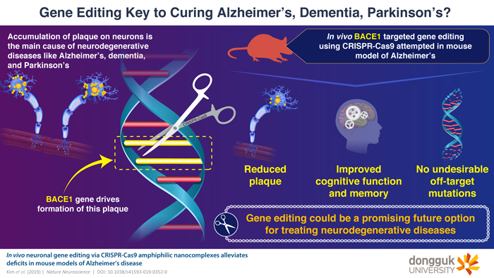 DNA “Scissors” Could Cut Out the Alzheimer’s Causing Gene in Mice
