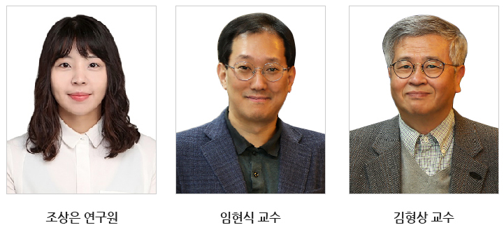 동국대 임현식 교수 연구팀, 방사선 신틸레이터 신물질 개발