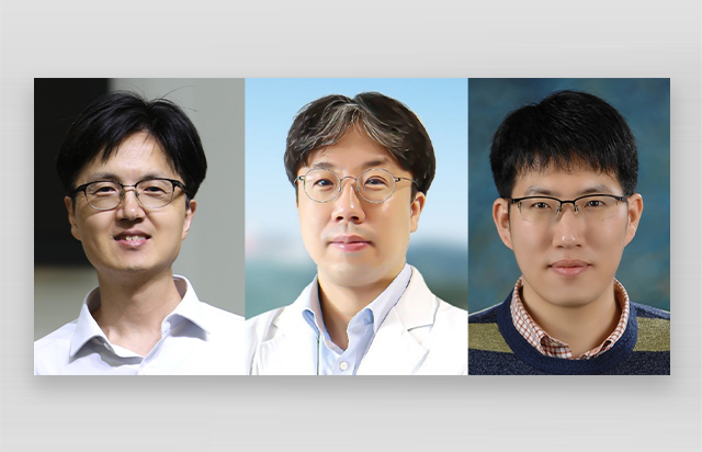 DGIST-칠곡경북대학교병원-동국대학교 공동연구팀, 세계 최초로 자궁경부 줄기세포 정체 규명