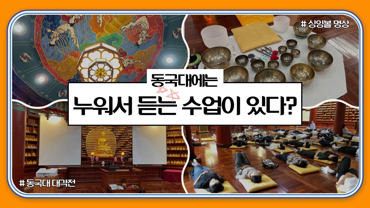 [워코홀릭 EP. 5] 동국대에는 누워서 듣는 수업이 있다?
