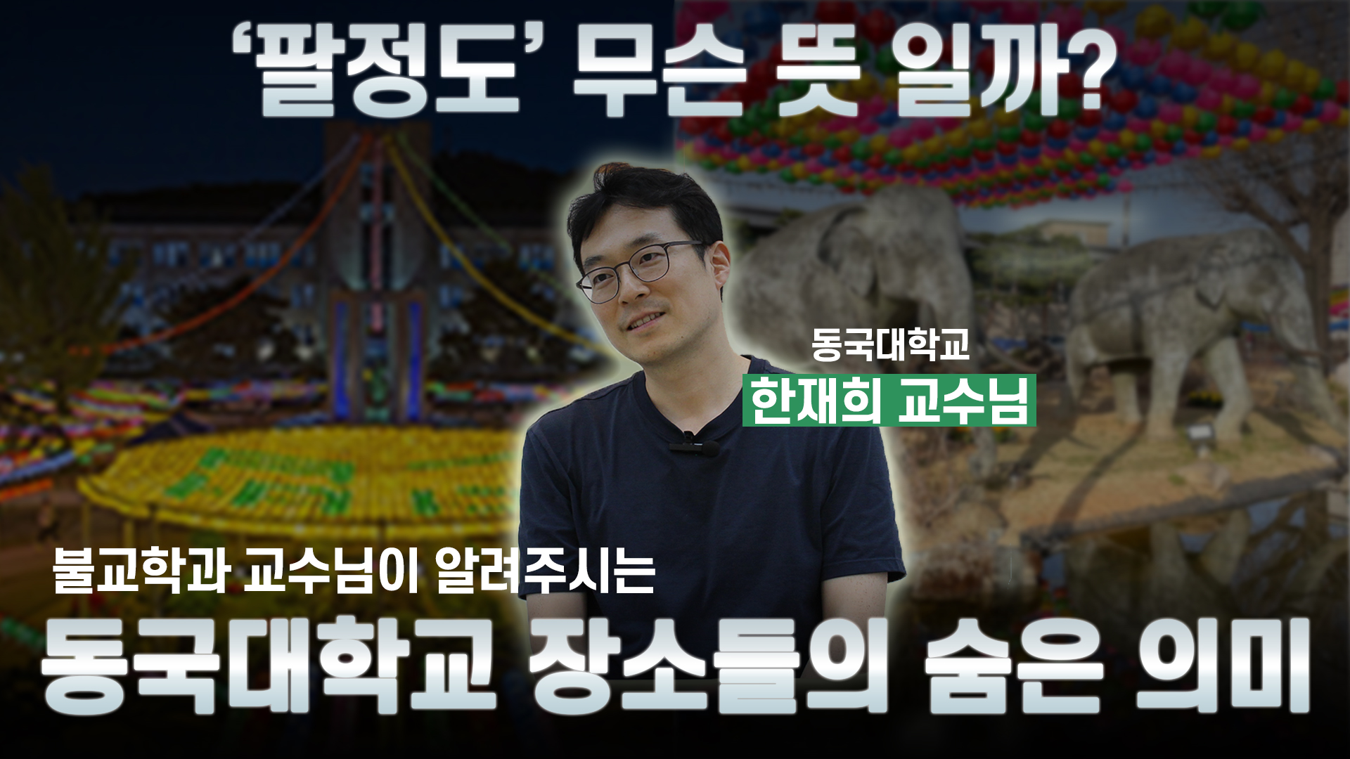 [알쓸동잡] 절과 불상이 있는 대학교가 있다? 동국대학교 불교 장소들의 숨은 의미🤩🪷 | 정각원, 팔정도, 코끼리, 연꽃