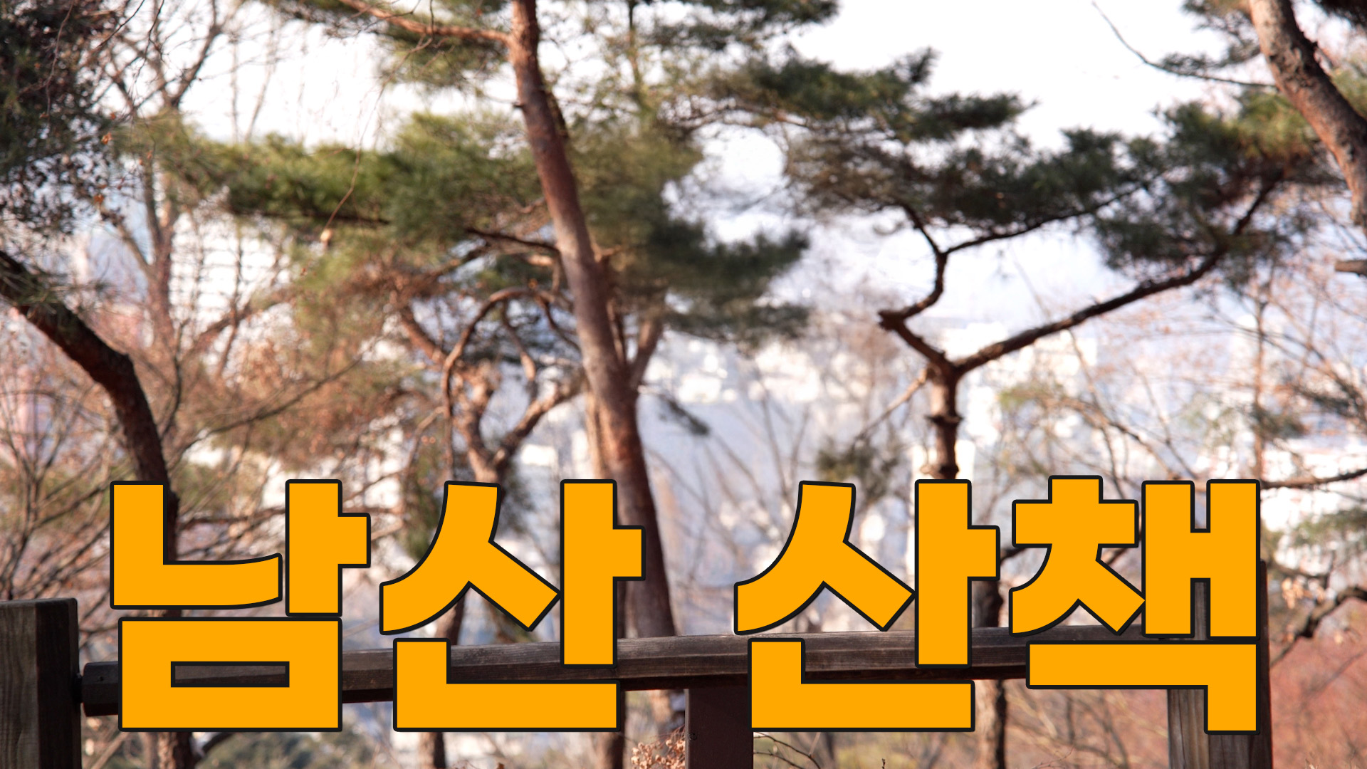[모닝붓다 16회] 남산 산책하러 가는 학생 스님