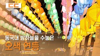 동국대학교 밤하늘을 수놓은 오색 연등