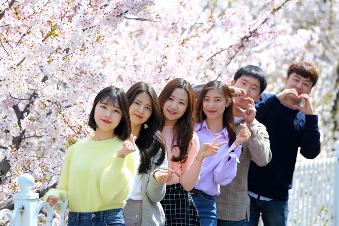 벚꽃놀이  사진