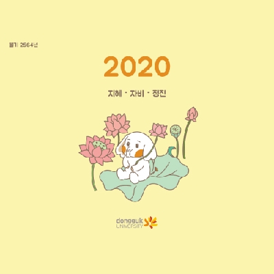 참 나를 찾아 떠난 코끼리, 아코를 소개합니다.