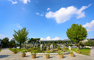 보현보살 코끼리상 이미지2